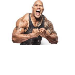 the rock dwayne rock rock rock the the rock the icon