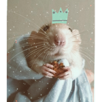 Ratitas <3