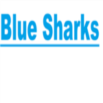 Blue Sharks Studio