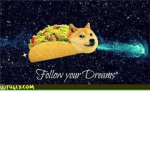 The Doge Lovers! :3