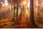 existing and vibing