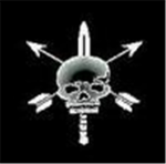 ROBLOX Special Forces Clan