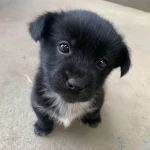 SINGULAZRITY Group Thumbnail