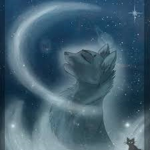 Warrior Cats Clan.