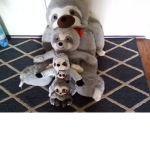 The Slothy Group