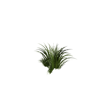Grass for brushtool