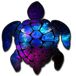 Midnight Turtle Official