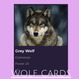 wolf cards