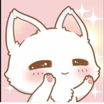 my fellow kitty group