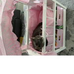 Teen kittys