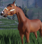 [~] Phenix equine acres [~]
