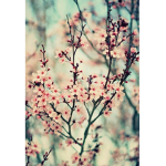 -* Blossom Home Store *-