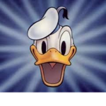 - Duck Incorporated -