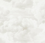 -cloud comps-