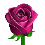 RoseDev Studios