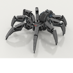 Spider Crazy