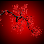 Red Cherry Blossom