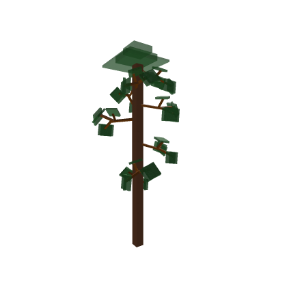Pine Tree