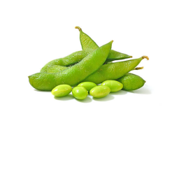 obby