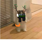 imnoobxdwhy123