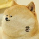 we will rise you bois