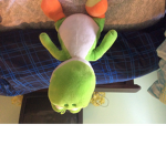 Yoshi Nation