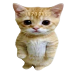 - EL GATOOO