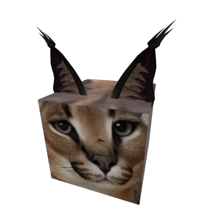 floppa cube