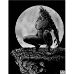 the werewolf nation