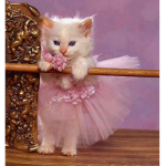 The KittyCat Group!!!!