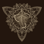 [•] The Lothlórien Elves [•]