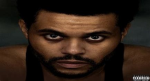 The Weeknd XO fans
