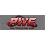P.W.E / Pro Wrestling Entertainment