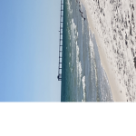 •xxxbeachvibesxxx•