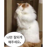 들어오면 내꺼ㅎ