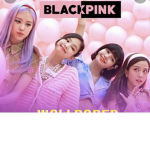 Black pink fan club *fun*
