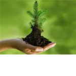 Environment