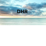 Gemeente DHR | Surveillance