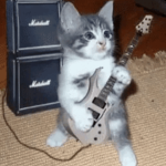 catrocker studio