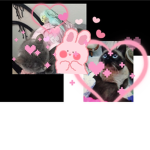 K unş l a r v e k e d i le r