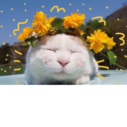 ♡