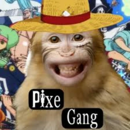 Monkey crew