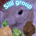 Silly Group Of Silly!