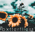 『butterflies』