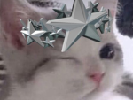 STARRIEST OF ALL
