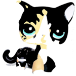 crazycats084