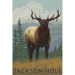 Jackson Hole