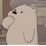 the we bare bears group!
