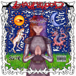 slayr - Never Go Down