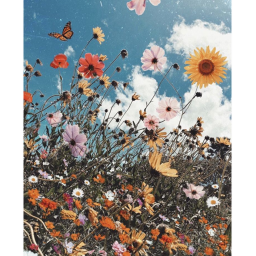 ┊❛𝘧𝘭𝘰𝘸𝘦𝘳 𝘱𝘰𝘸𝘦𝘳❜┊